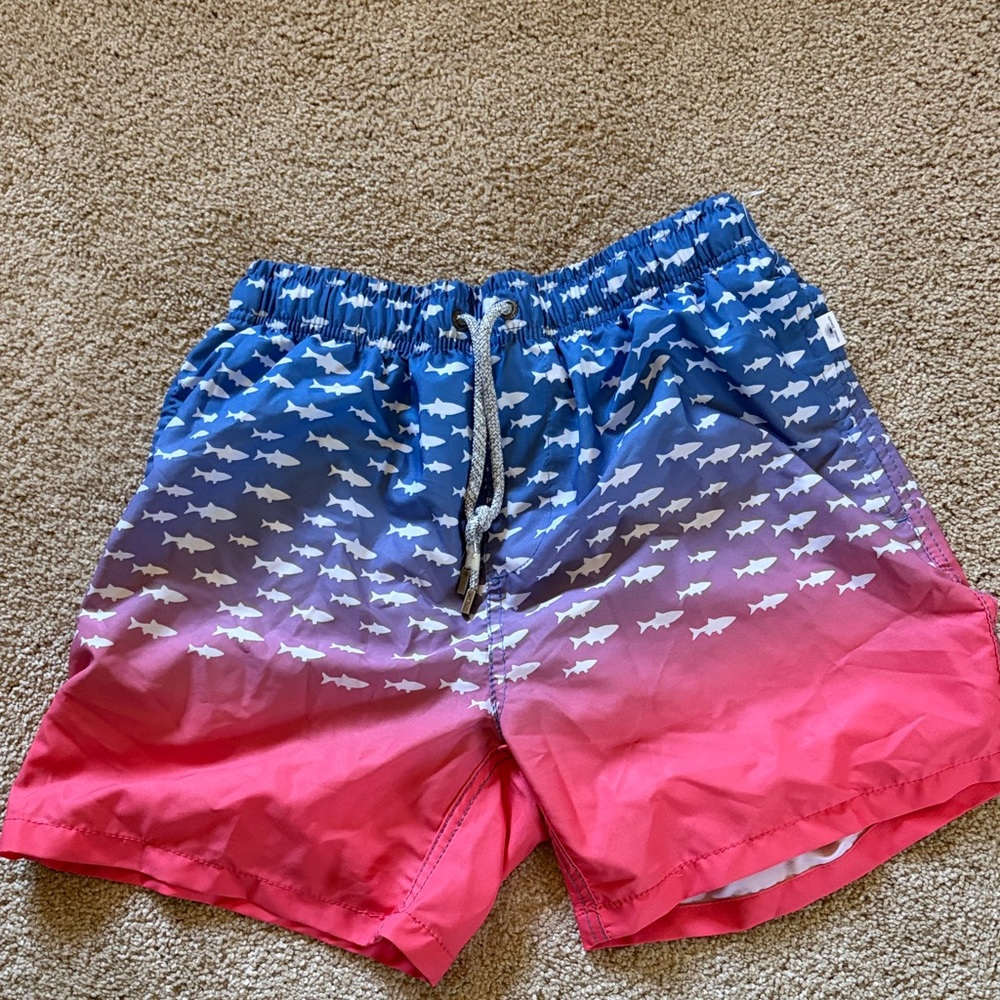 Men's Gradient Blue to Pink Shark Print Swim Trunks